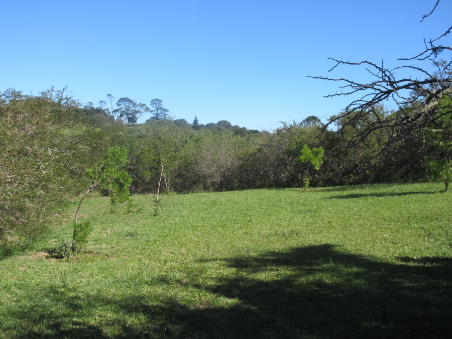 0 Bedroom Property for Sale in Bathurst Eastern Cape